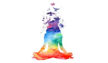 Evolve Wellness 1 hour