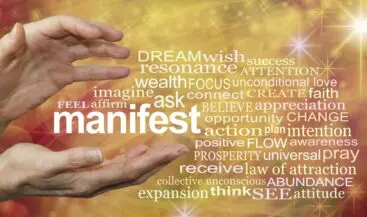 Manifesting the Life You Want